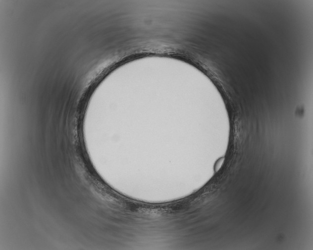 X0000115640679200912221310