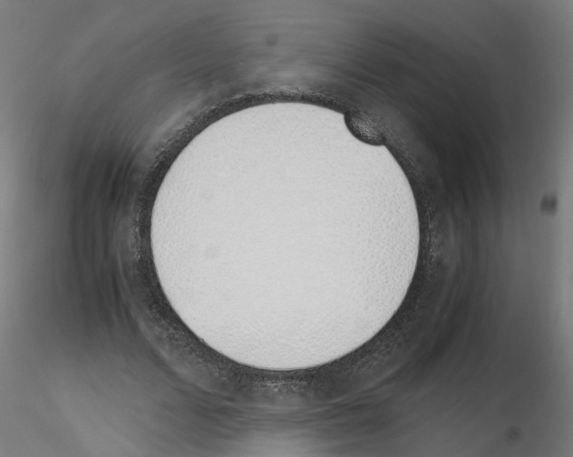 X0000115640680200912221310