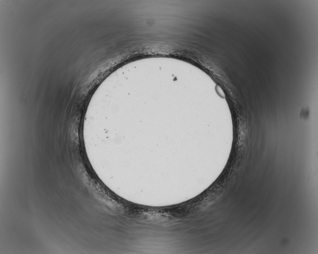 X0000115640681200912221310