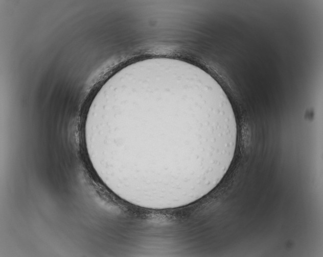 X0000115640682200912221310