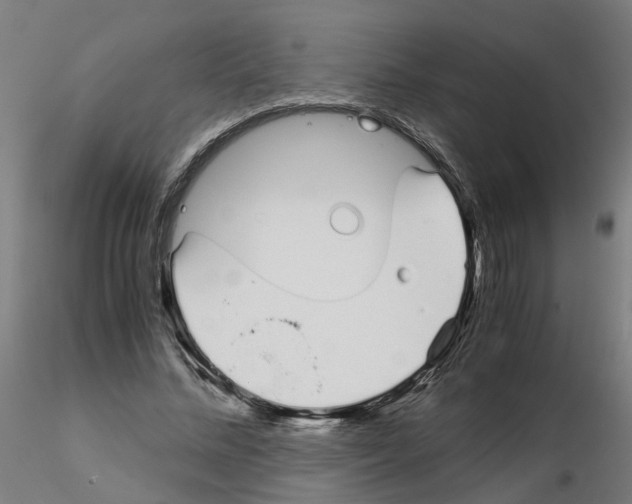 X0000115640684200912221310