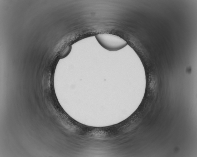 X0000115640685200912221310