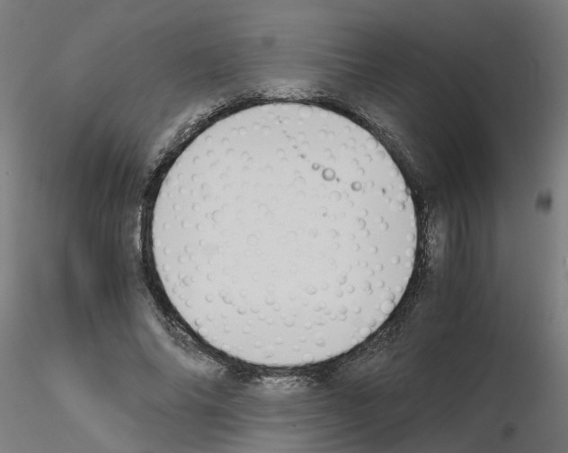 X0000115640686200912221310