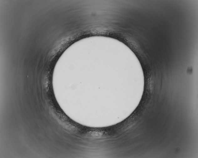 X0000115640687200912221310