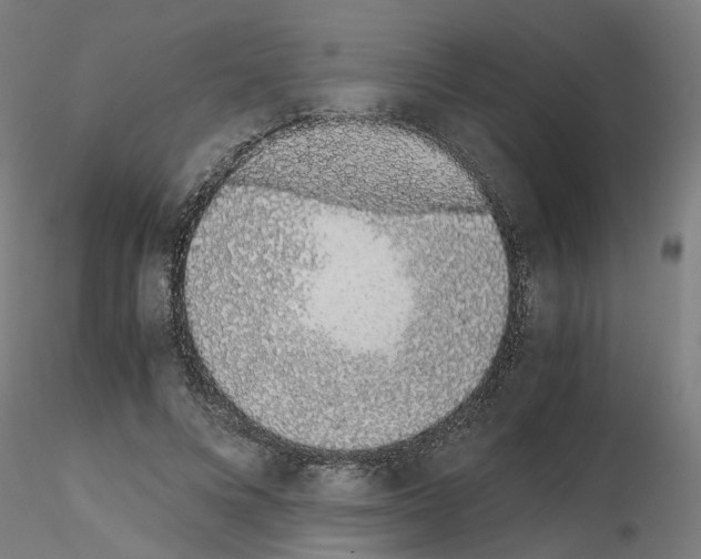 X0000115640688200912221310