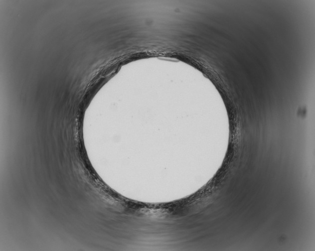X0000115640689200912221310