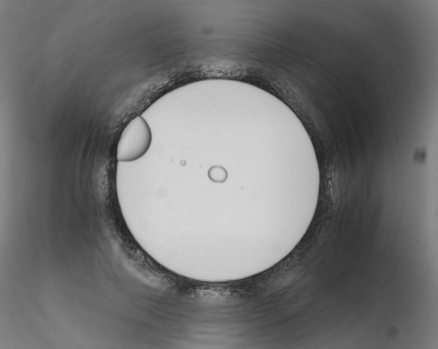 X0000115640690200912221310