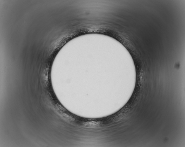 X0000115640691200912221310