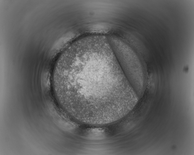 X0000115640692200912221310