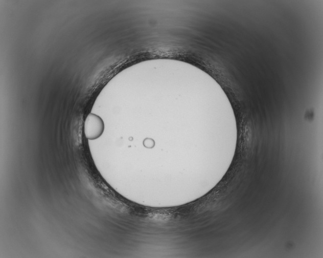 X0000115640694200912221310