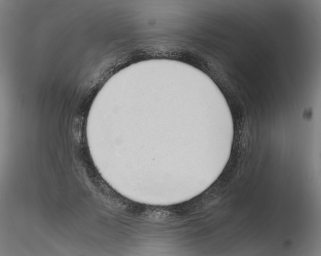 X0000115640695200912221310