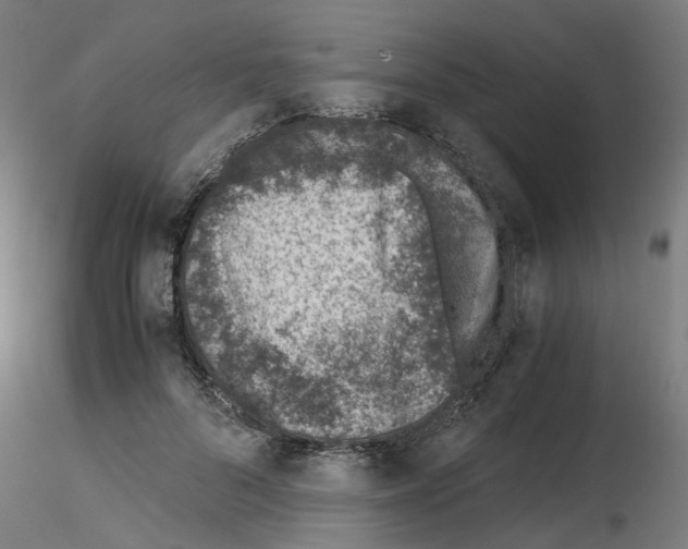 X0000115640696200912221310