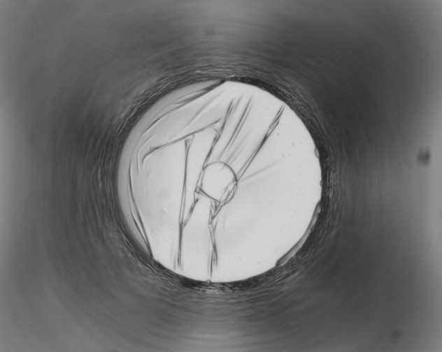 X0000115640697200912221310