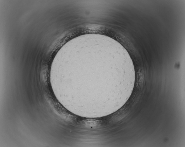 X0000115640698200912221310