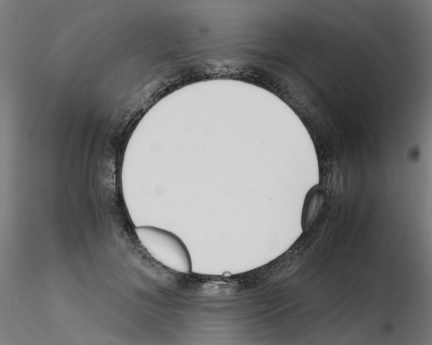 X0000115640700200912221310