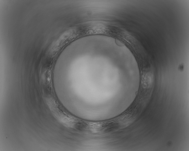 X0000115640701200912221310