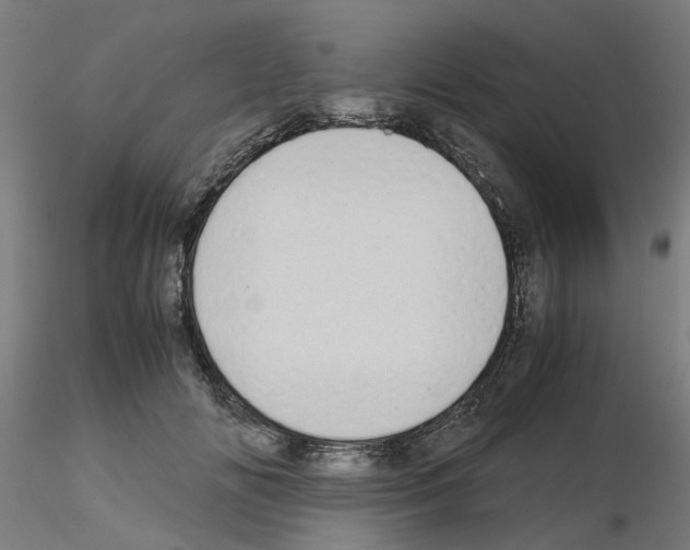 X0000115640702200912221310