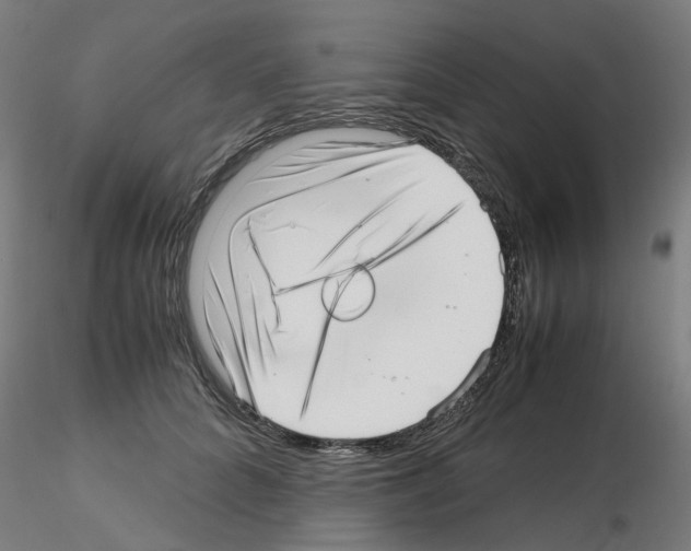 X0000115640704200912221310