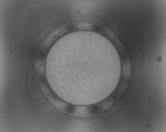 X0000115640705200912221310