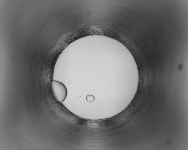 X0000115640706200912221310