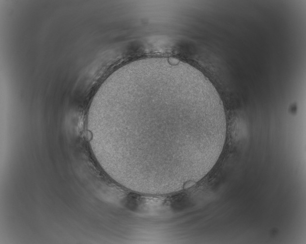 X0000115640709200912221310