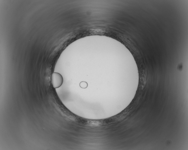 X0000115640710200912221310