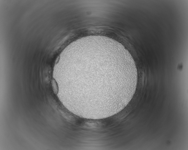 X0000115640712200912221310