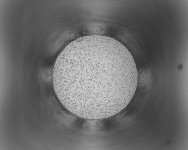 X0000115640713200912221310
