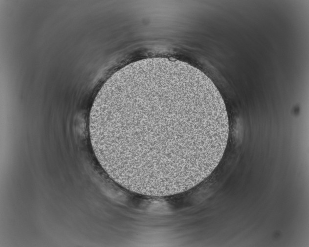 X0000115640715200912221310
