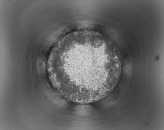 X0000115640716200912221310