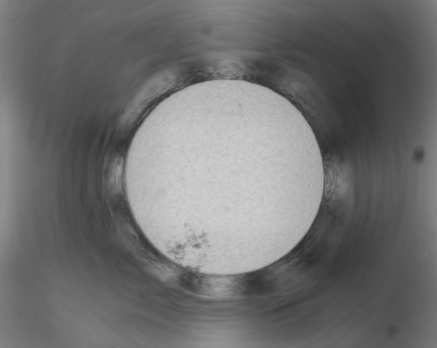 X0000115640717200912221310