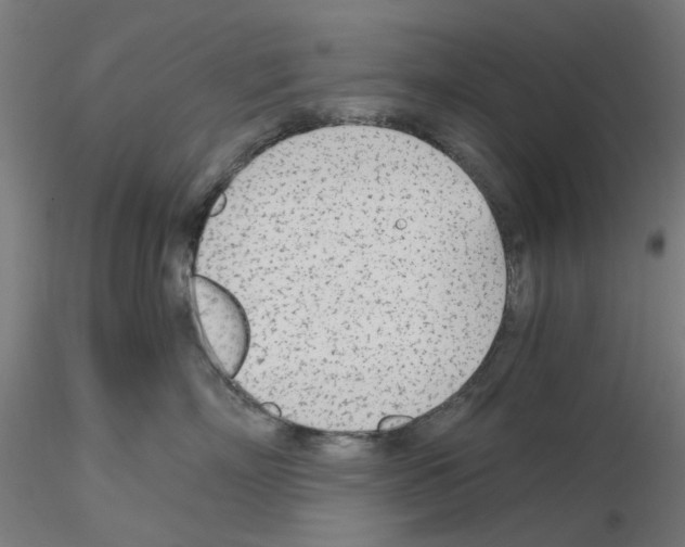 X0000115640718200912221310