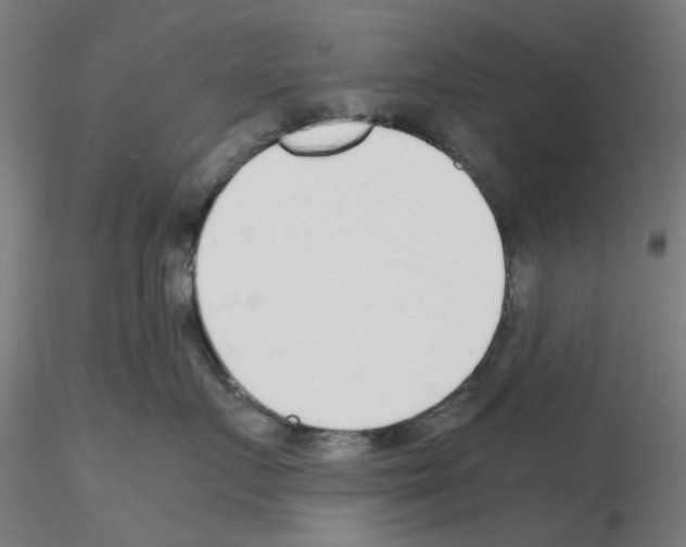X0000115640719200912221310