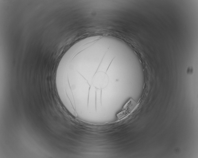 X0000115640720200912221310