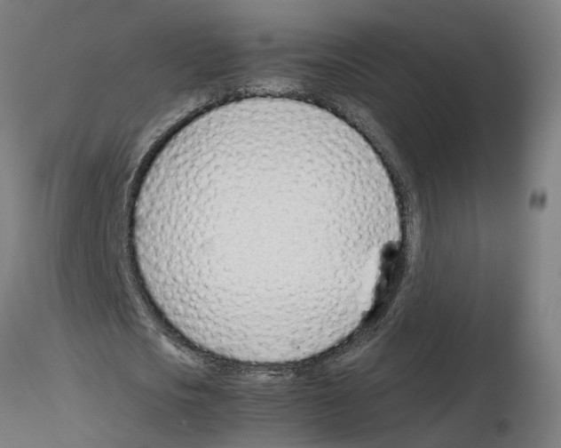 X0000115640721200912221309