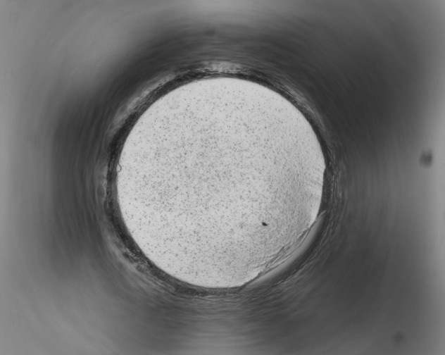X0000115640722200912221309