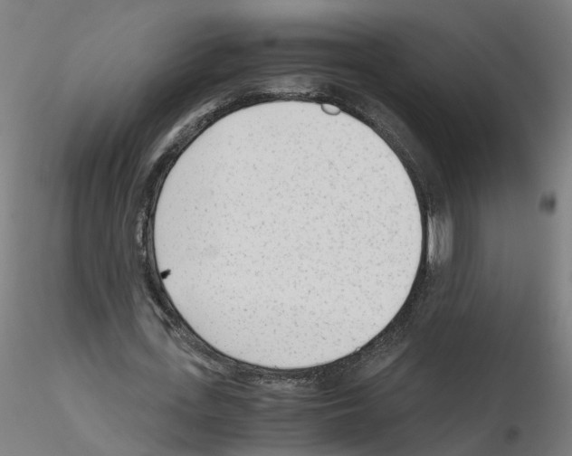 X0000115640723200912221309