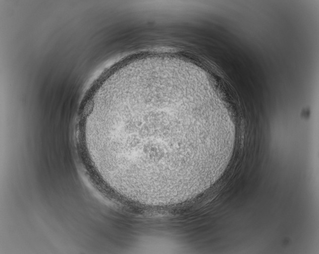 X0000115640726200912221309
