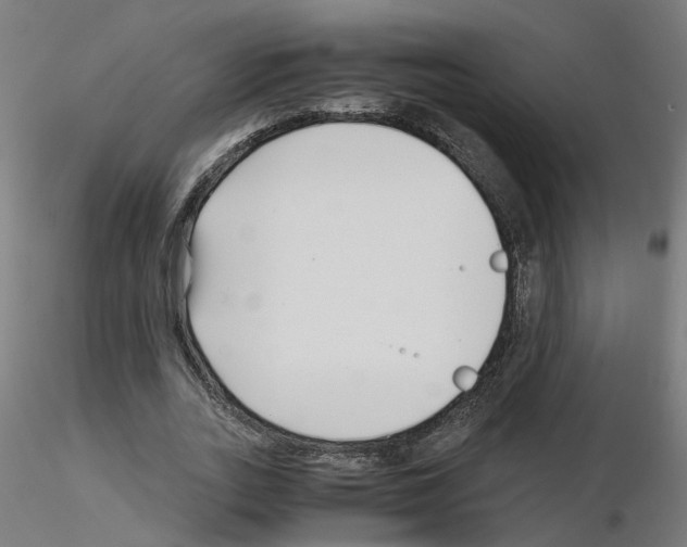 X0000115640727200912221309