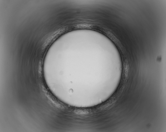X0000115640729200912221309