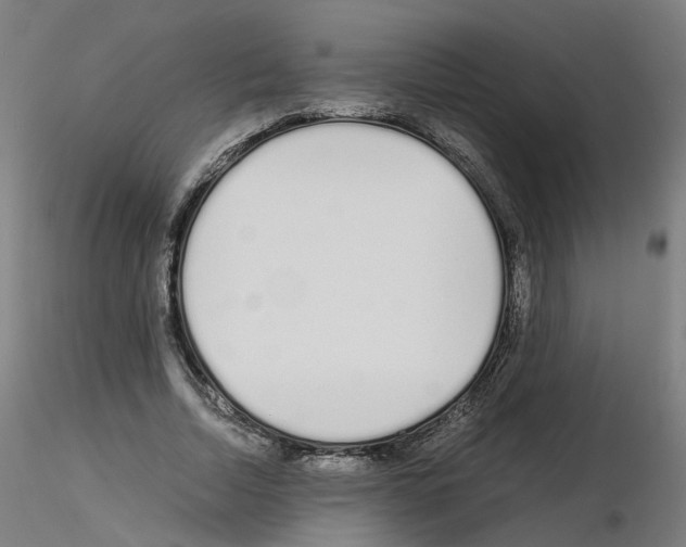 X0000115640730200912221309
