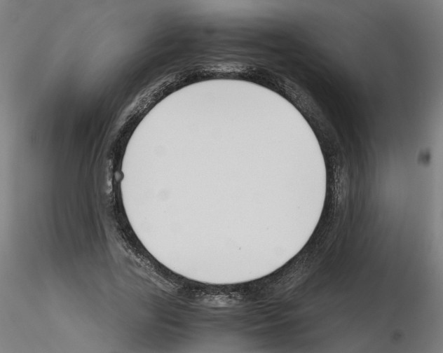 X0000115640731200912221309