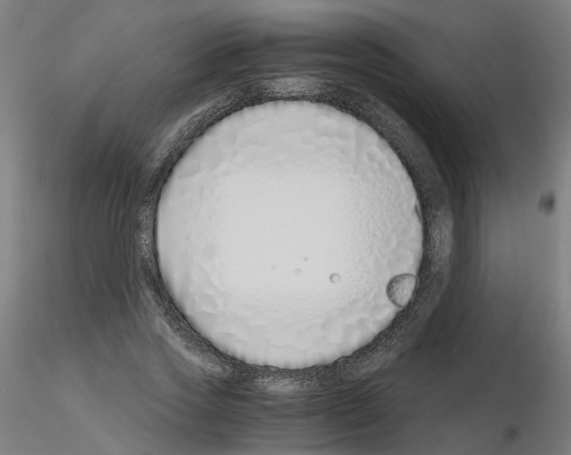 X0000115640733200912221309