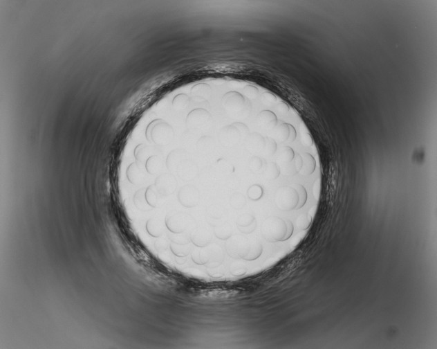 X0000115640734200912221309