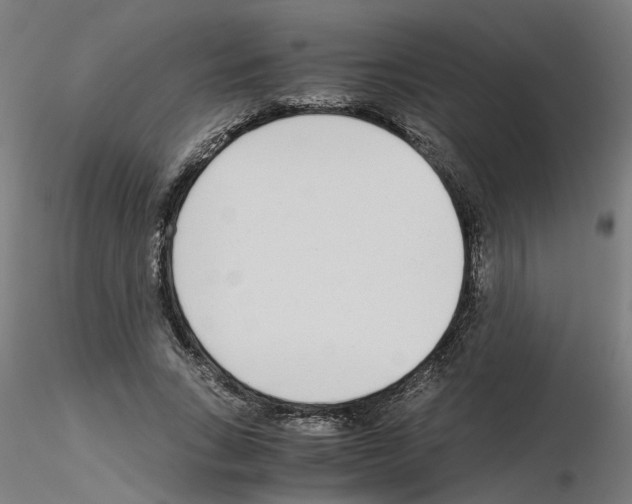 X0000115640735200912221309