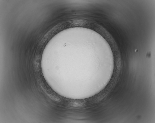 X0000115640737200912221309