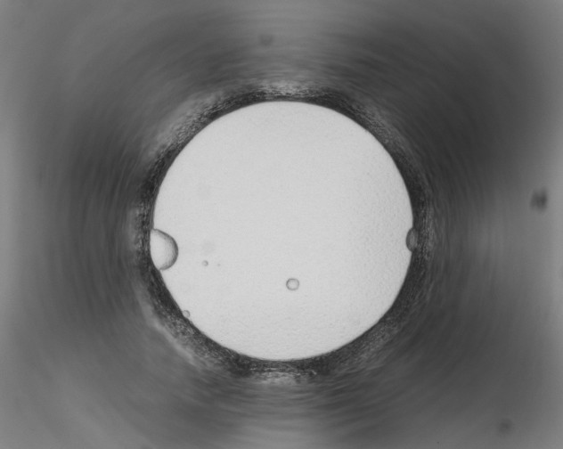 X0000115640738200912221309