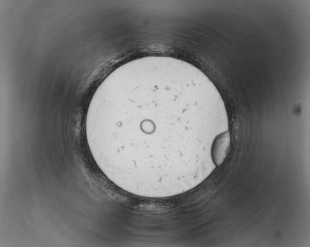 X0000115640739200912221309