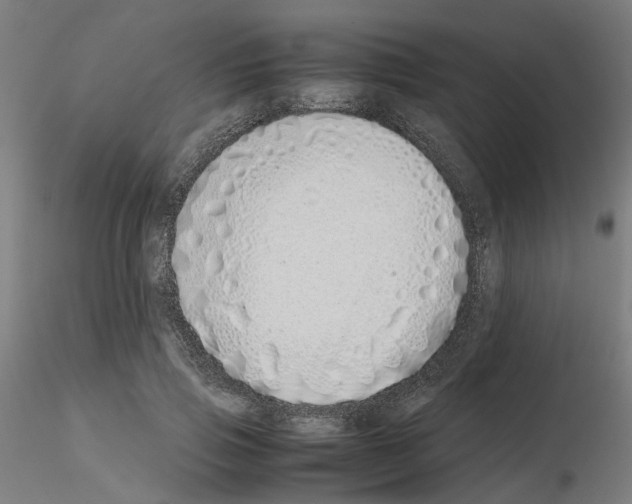 X0000115640741200912221310