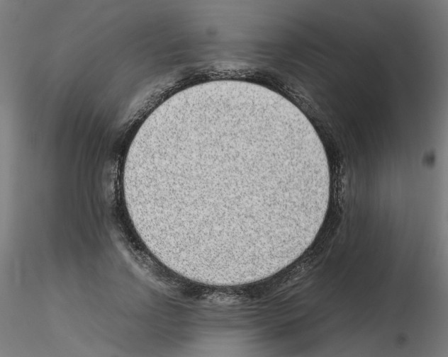 X0000115640742200912221310